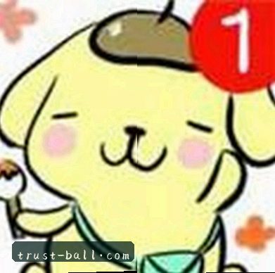 赵宇